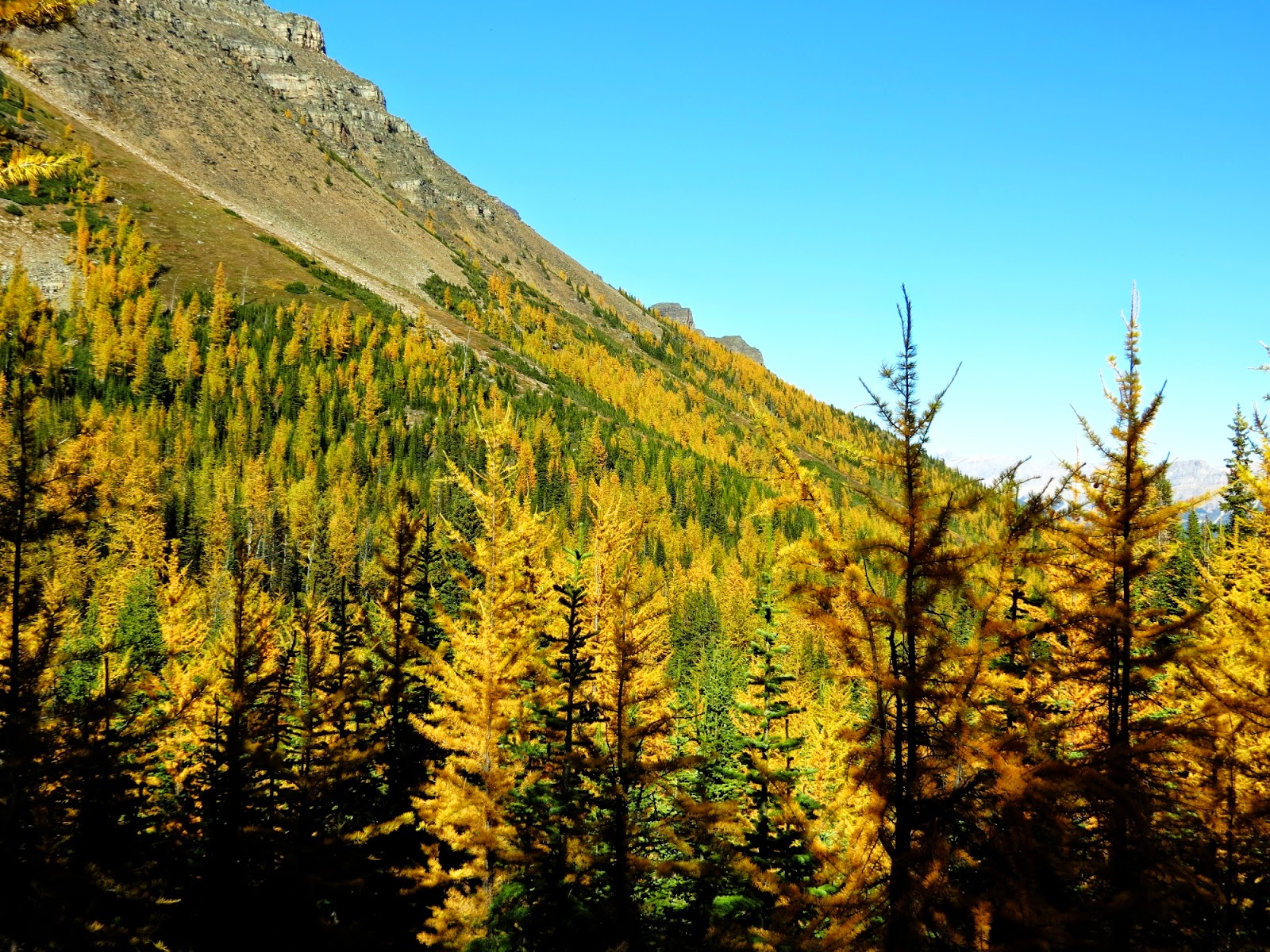 Larch+Valley+21