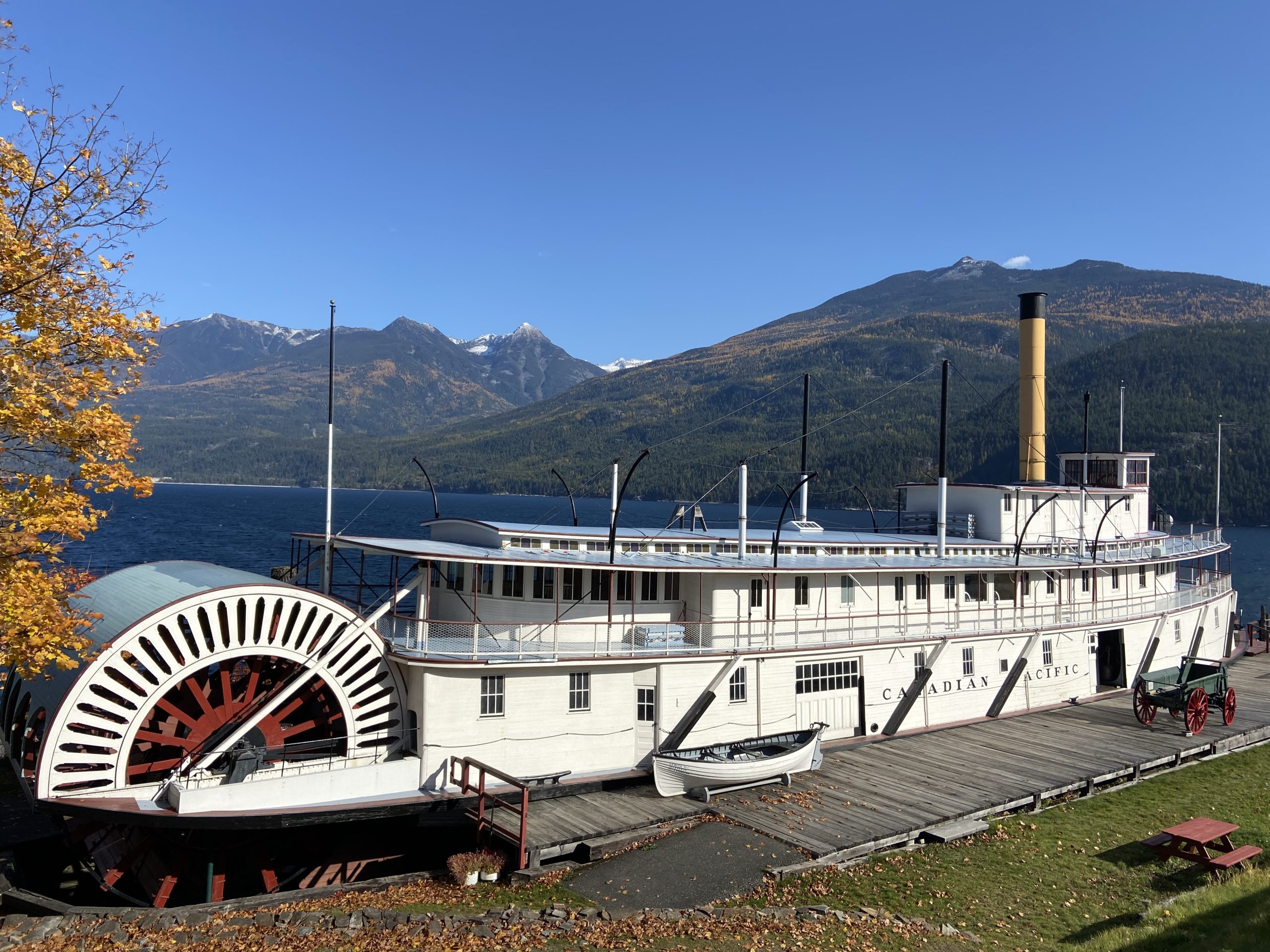 ss moyie